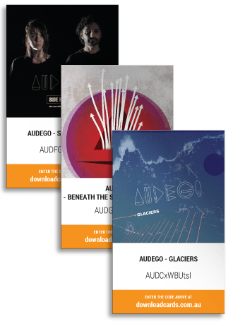 vinyl download cards
