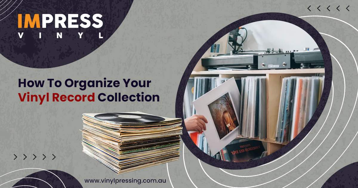 Organize Your Vinyl Record Collection
