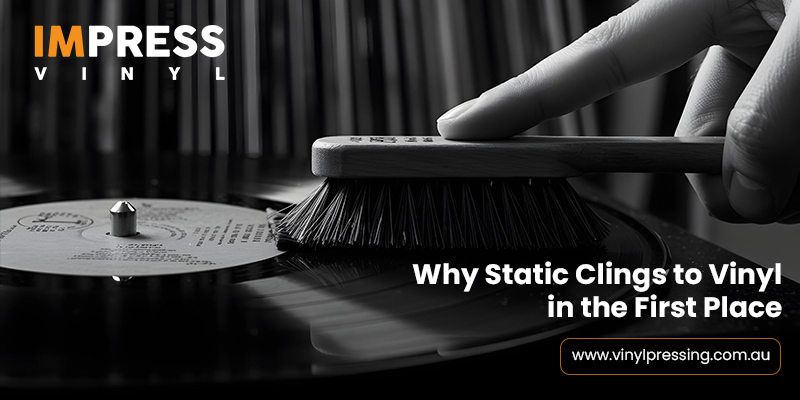 Static Clings to Vinyl in the First Place